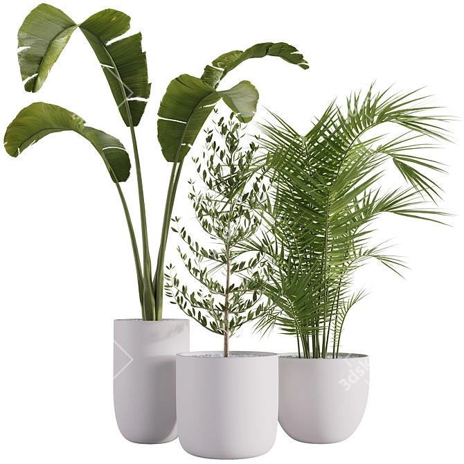 Corona Indoor Plants Set 2015 3D model image 1