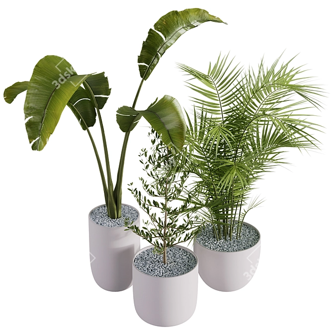 Corona Indoor Plants Set 2015 3D model image 2