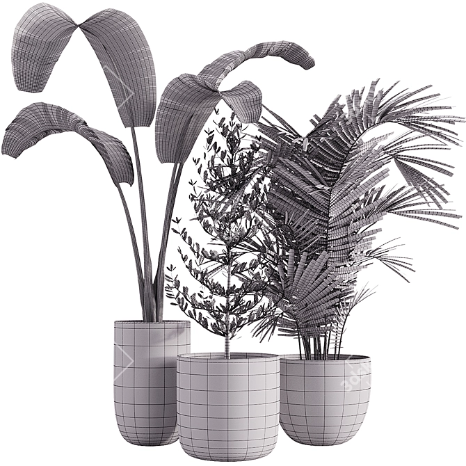 Corona Indoor Plants Set 2015 3D model image 3