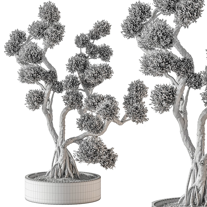 Bonsai Plant 707 - Indoor Greenery 3D model image 5