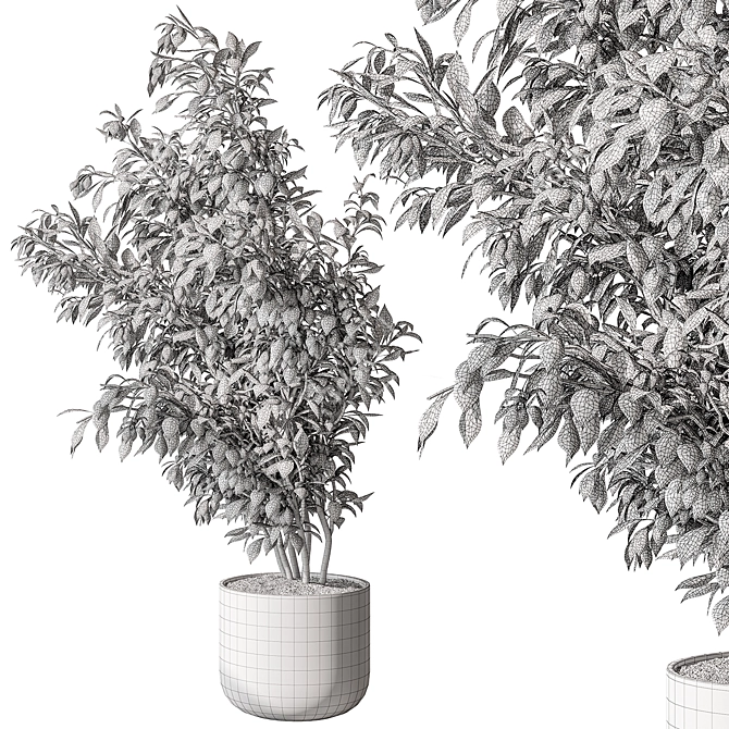 710 Tree in Pot, Indoor 3D model image 4