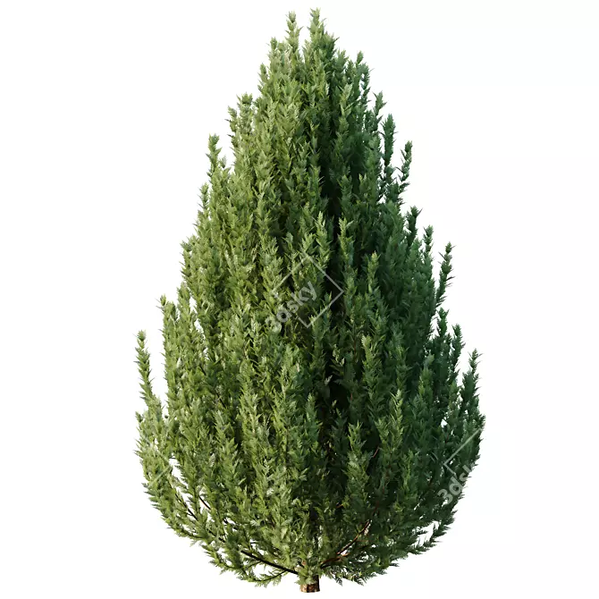 Variety Bush Models Collection 3D model image 3