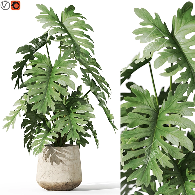 Botanical Set 1076: Lush Greenery 3D model image 1