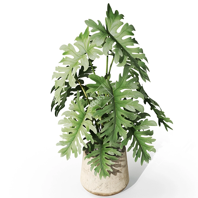 Botanical Set 1076: Lush Greenery 3D model image 3