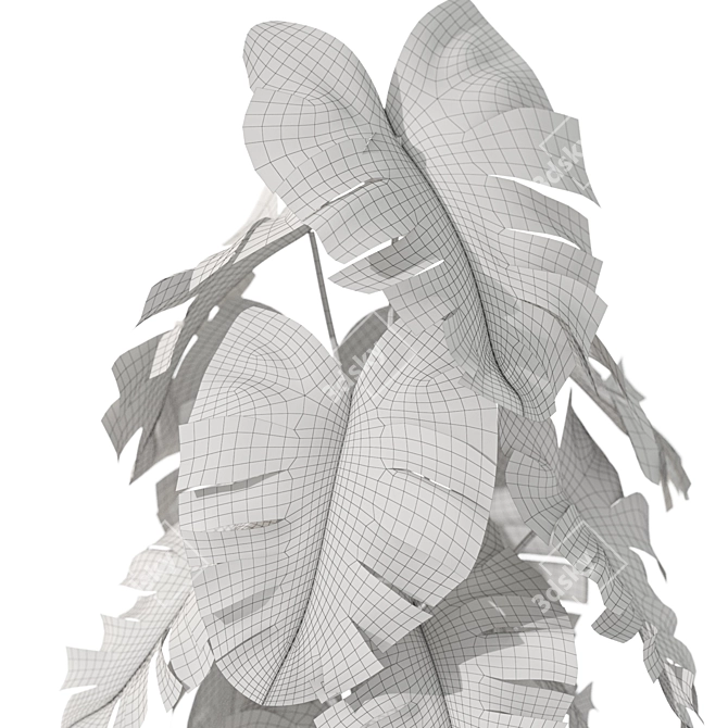 Botanical Set 1076: Lush Greenery 3D model image 5