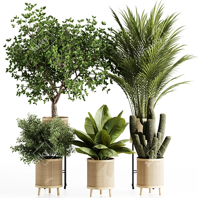 Premium Indoor Plants Set 99 3D model image 1