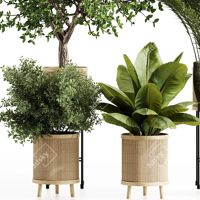 Premium Indoor Plants Set 99 3D model image 2