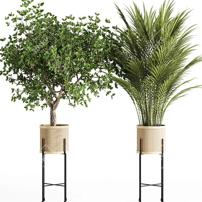 Premium Indoor Plants Set 99 3D model image 3