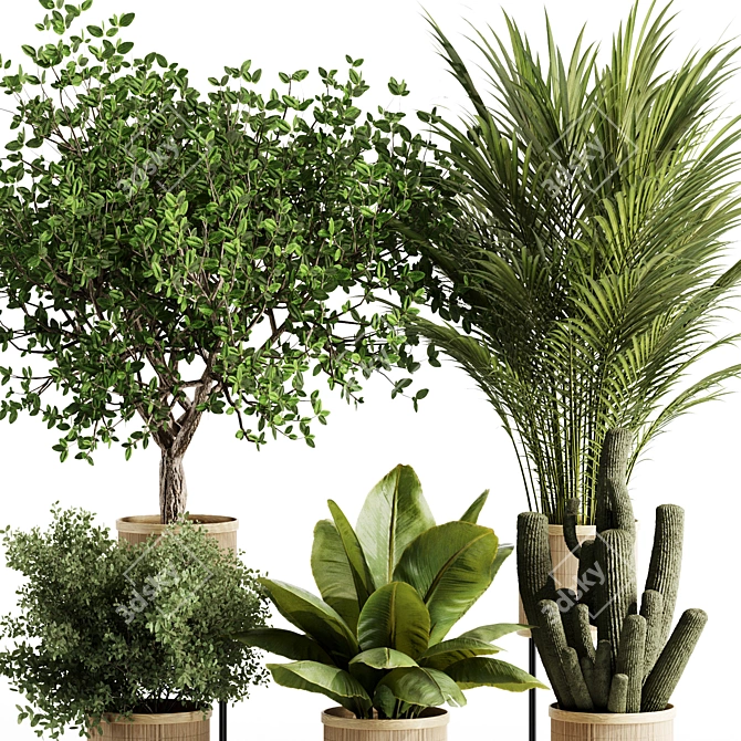 Premium Indoor Plants Set 99 3D model image 4