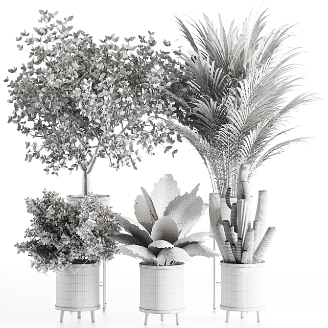 Premium Indoor Plants Set 99 3D model image 5