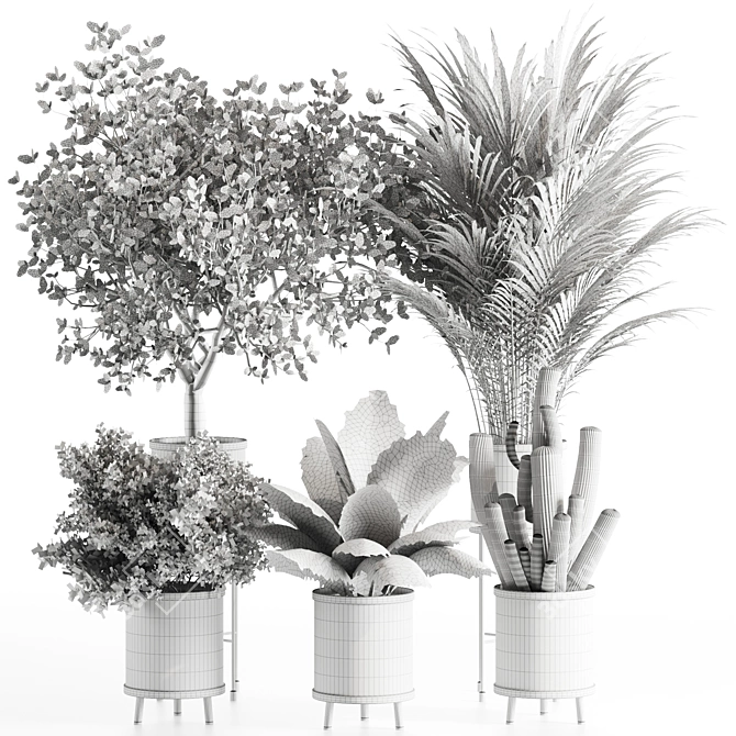 Premium Indoor Plants Set 99 3D model image 6