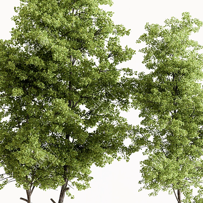 Maple Forest Miniature Set 3D model image 2
