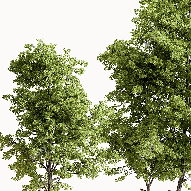 Maple Forest Miniature Set 3D model image 3