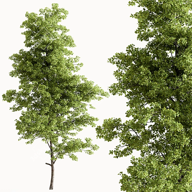 Maple Forest Miniature Set 3D model image 5