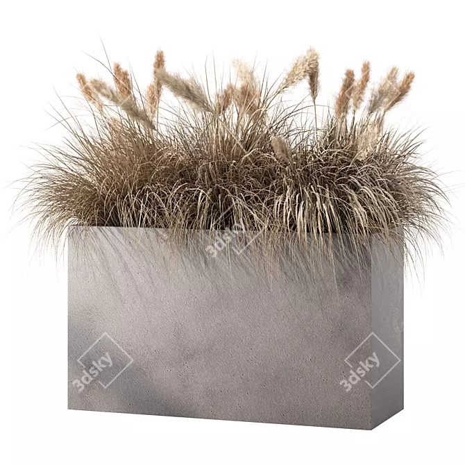 Outdoor Dried Plant Set Kit 3D model image 1