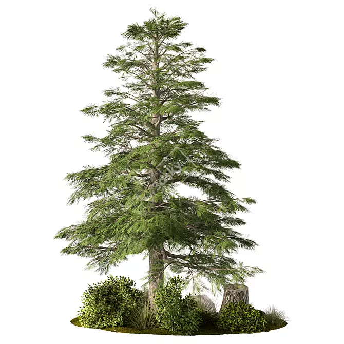 Rustic Outdoor Plant Set 3D model image 1