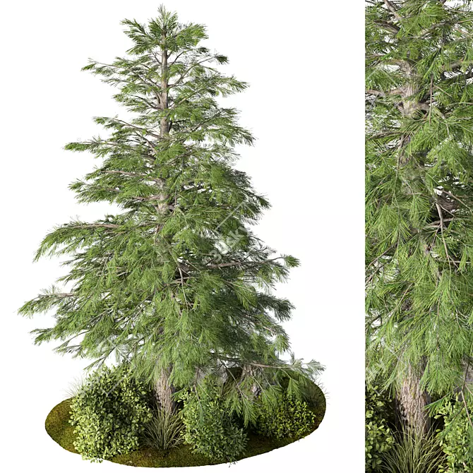 Rustic Outdoor Plant Set 3D model image 3