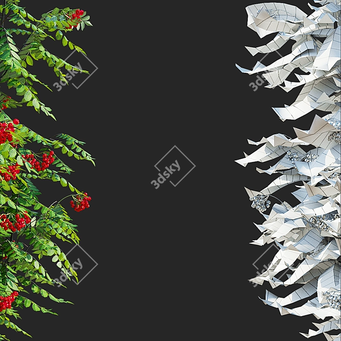 Sorbus Aucuparia Fastigiata Tree Set 3D model image 3