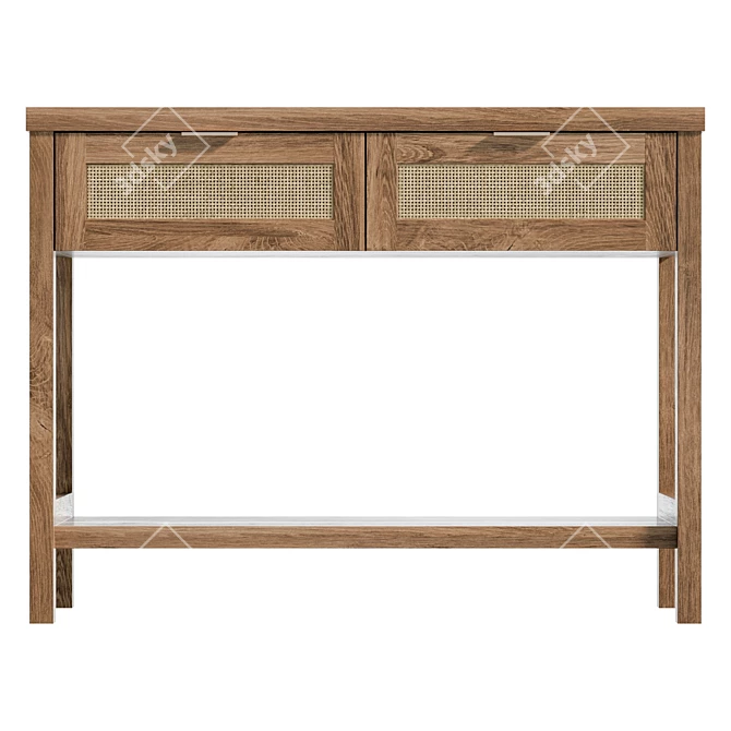 Tropical-inspired Console Table 3D model image 2