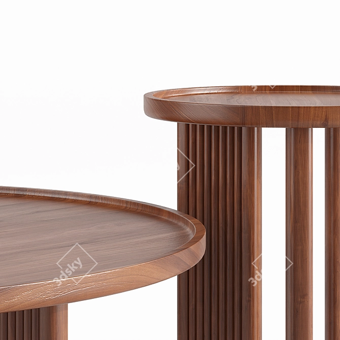 Diagil Walnut Coffee Tables 3D model image 2