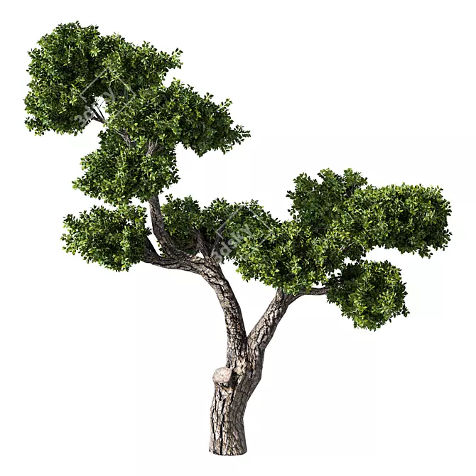 Contemporary Tree Sculpture: No.96 3D model image 1