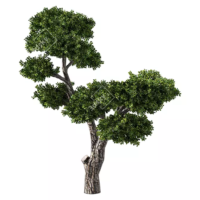 Contemporary Tree Sculpture: No.96 3D model image 2