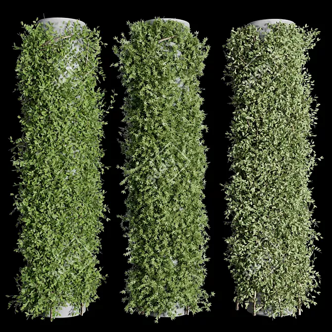 Elegant Column Garden Ivy{/*Translate from Russian if needed*/} 3D model image 2