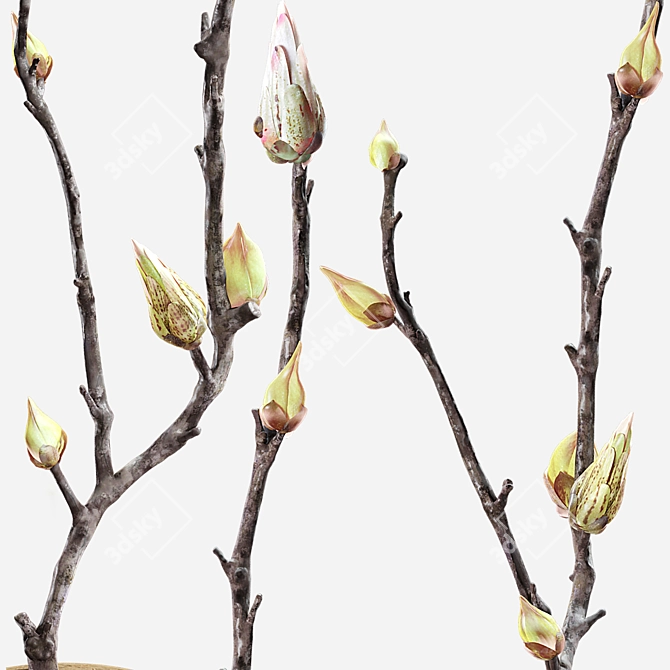 Spring Branch Bathroom Decor Set 3D model image 5