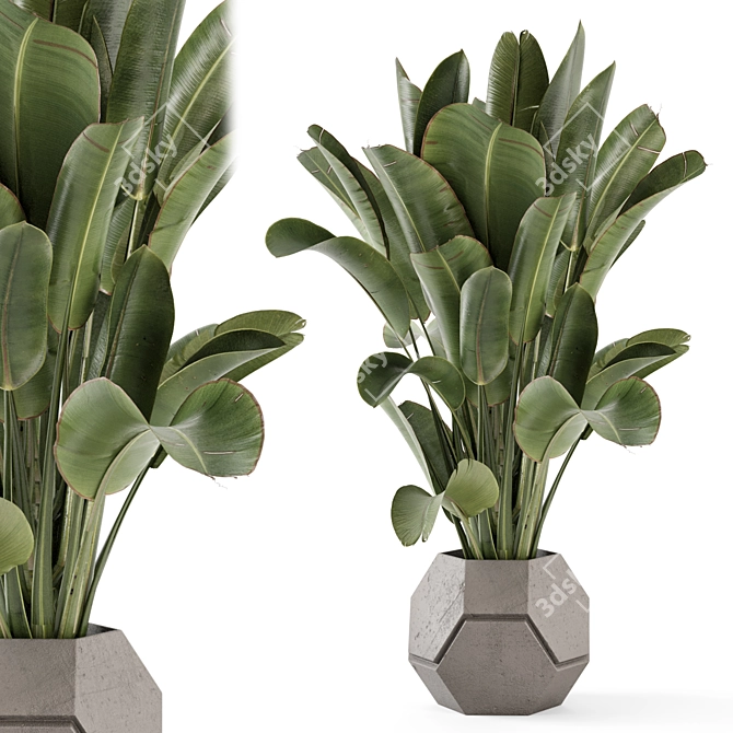 Handmade Stone Pot Indoor Plants 3D model image 1