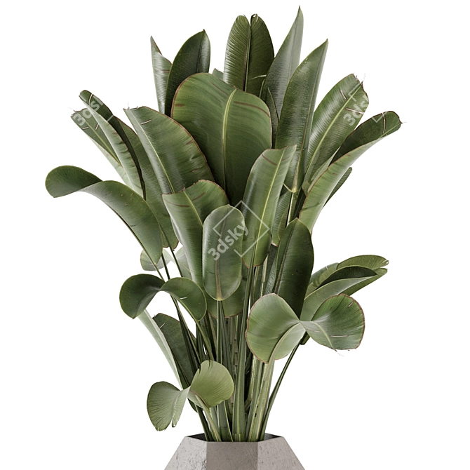 Handmade Stone Pot Indoor Plants 3D model image 2