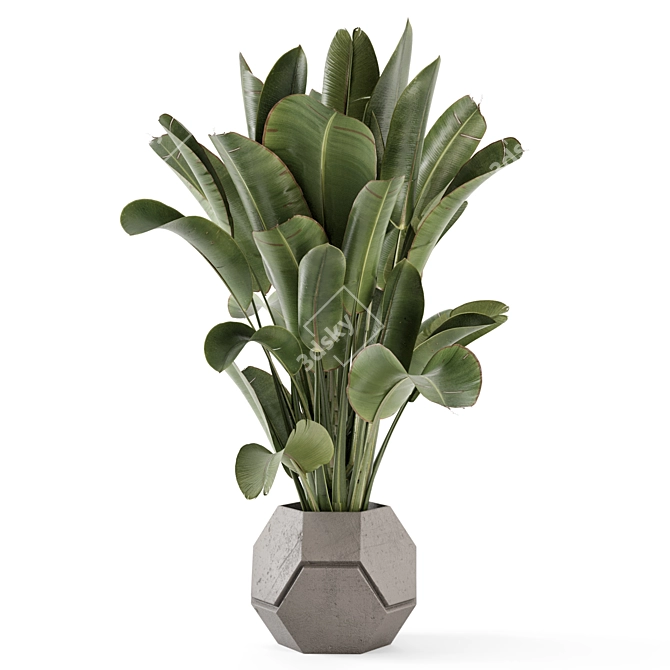 Handmade Stone Pot Indoor Plants 3D model image 4