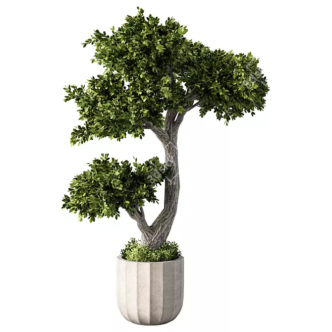 Botanical Bliss Collection: Fresh Greenery 3D model image 1