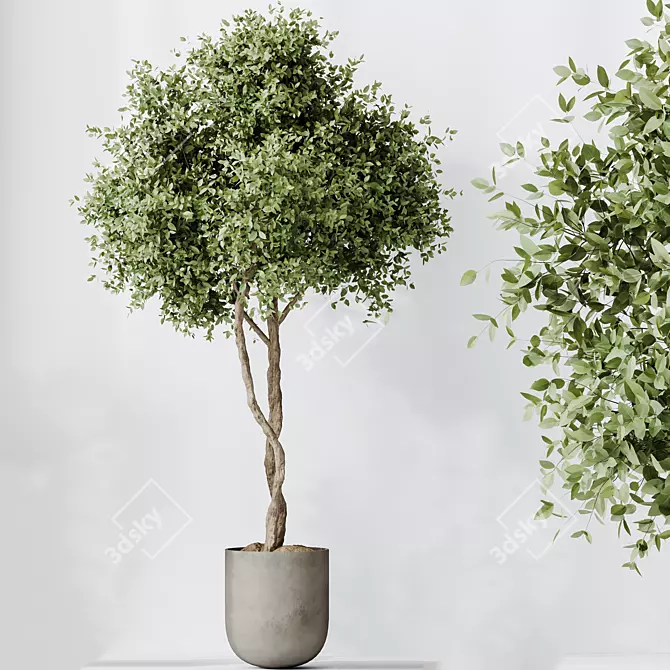 Variety Indoor Plants Set 59 3D model image 3