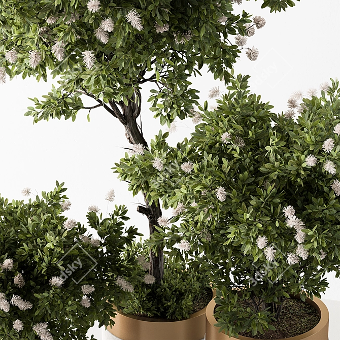 Botanical Beauty - Indoor Tree Display 3D model image 5