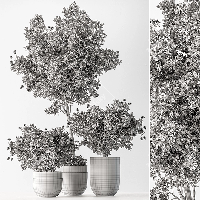 Botanical Beauty - Indoor Tree Display 3D model image 6