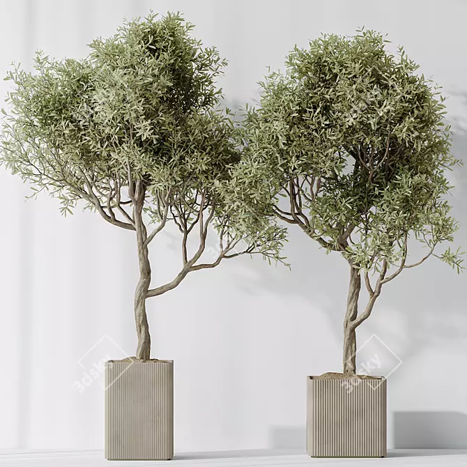 3D Indoor Plant Set Bundle 3D model image 3