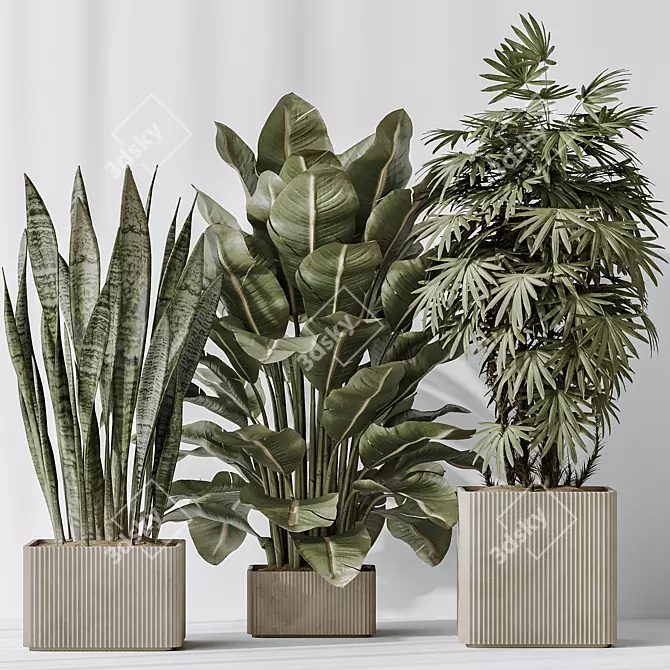 3D Indoor Plant Set Bundle 3D model image 4