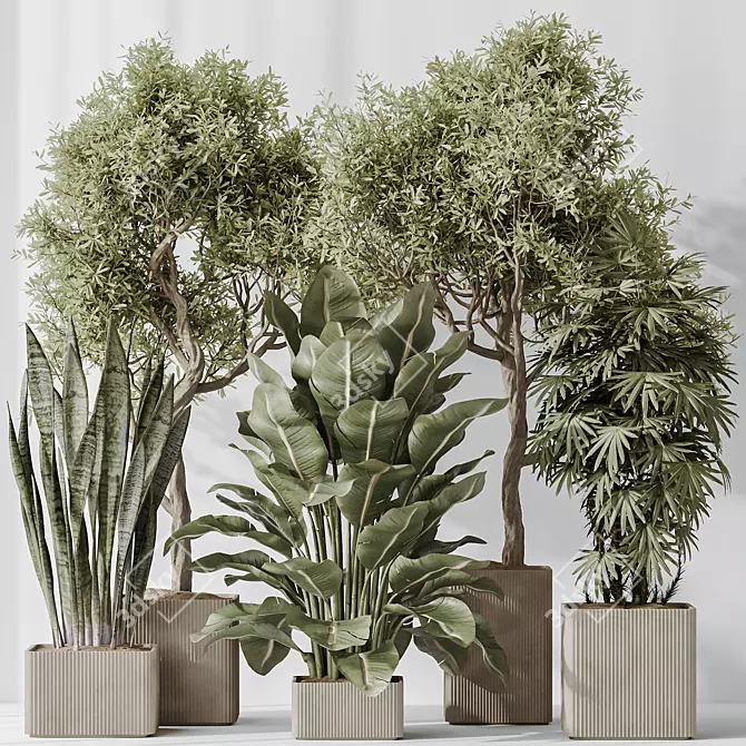 3D Indoor Plant Set Bundle 3D model image 7