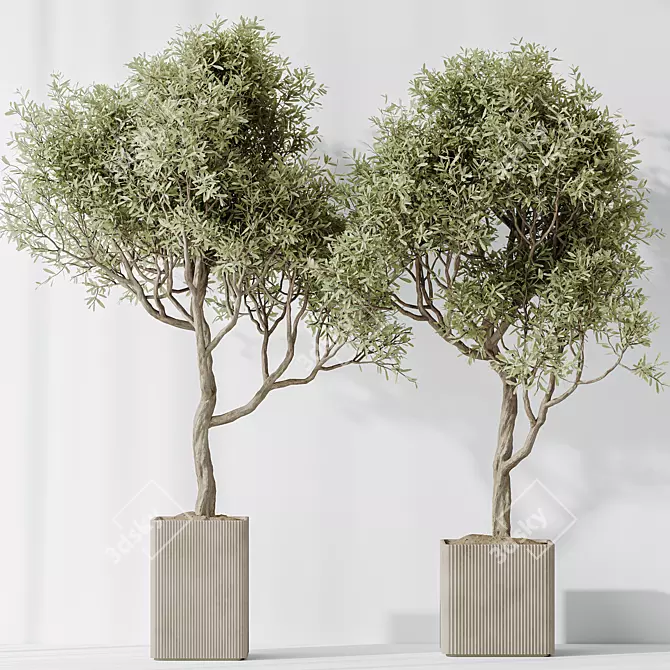 3D Indoor Plant Set Bundle 3D model image 8