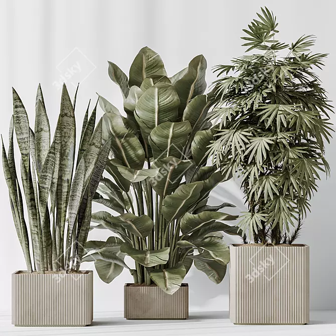 3D Indoor Plant Set Bundle 3D model image 9