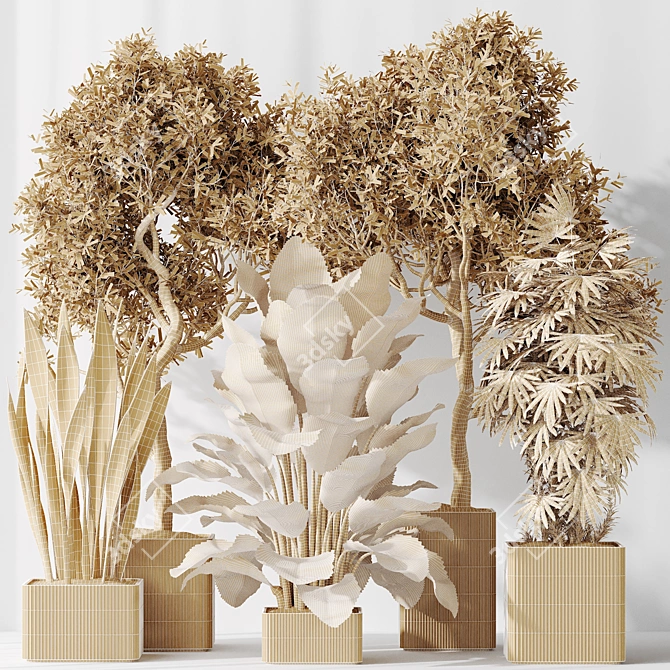 3D Indoor Plant Set Bundle 3D model image 10