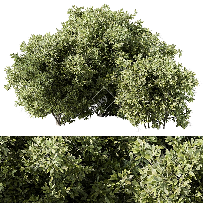 139-Piece Mixed Plant Bush Set 3D model image 1