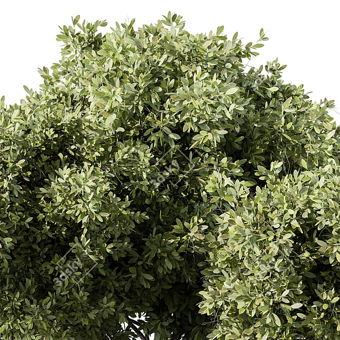 139-Piece Mixed Plant Bush Set 3D model image 2