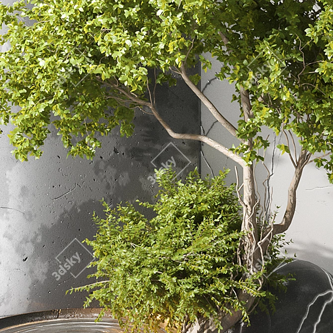 Interior Garden Props & Decor 3D model image 7