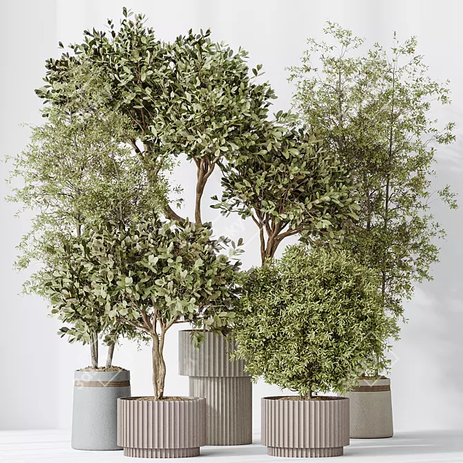 Variety of 5 Indoor Plant 3D Models 3D model image 2