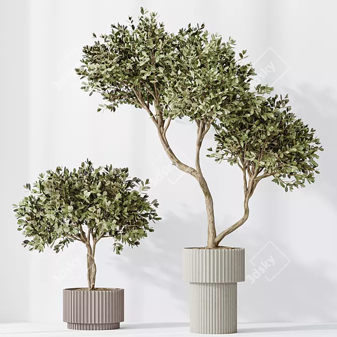 Variety of 5 Indoor Plant 3D Models 3D model image 4