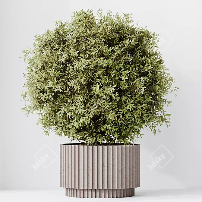 Variety of 5 Indoor Plant 3D Models 3D model image 5