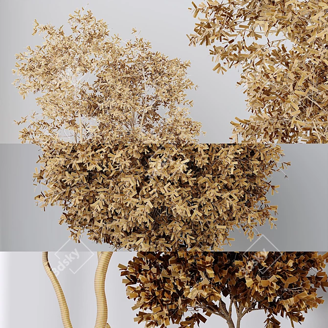 Variety of 5 Indoor Plant 3D Models 3D model image 6