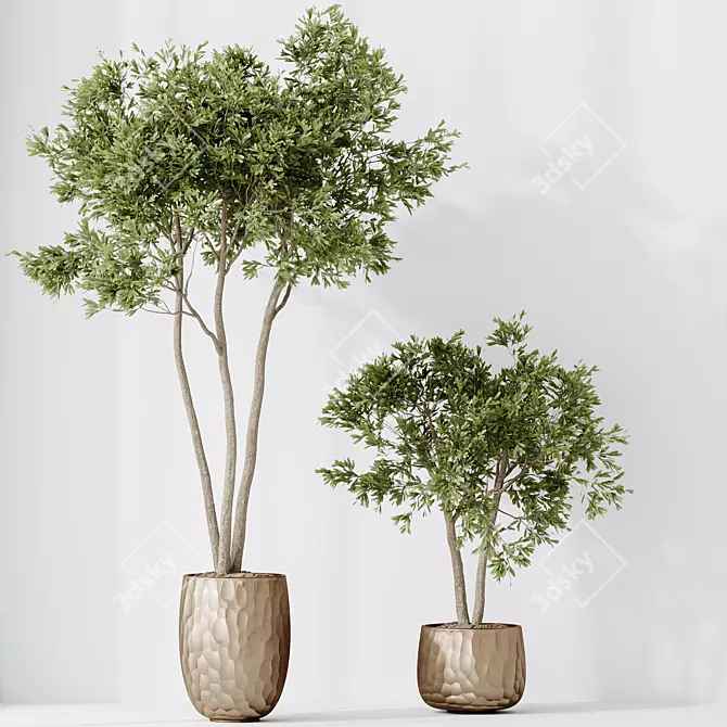 Elegant Olive Tree Set 3D model image 2
