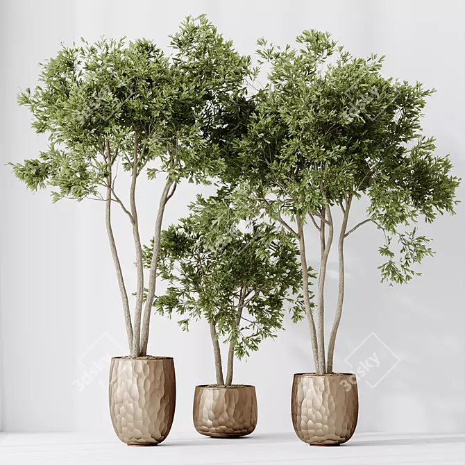 Elegant Olive Tree Set 3D model image 4